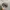 Pickseed Realtree Hats by AJM photo 7