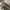 LE LABO POUCH CANVAS photo 6