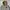 WHO.A.U Avant Garde Emo Hoody Pria gray photo 2
