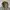 WHO.A.U Avant Garde Emo Hoody Pria gray photo 3