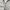 Person pack Double zipper hoodie grey photo 7