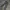 Dickies Chinos Long Pants photo 2