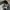 Dickies Chinos Long Pants photo 5
