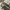 LE LABO POUCH CANVAS photo 7