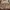 Burberry Vintage Streetwear Vest Wanita Brown