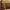 Burberry Vintage Streetwear Vest Wanita brown photo 5