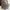 Zegna Luxury Casual Sneakers Pria brown photo 5