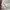 Kanye West Vultures Exclusive Release Korea Hoodie photo 10