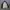 HnM Parka Jacket photo 8