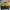 Biker Bomber jacket Pria black yellow photo 1