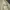 The North Face Gorpcore Windbreaker Pria green black photo 5
