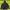 PUMA Down Puffer