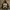 Off-White Streetwear Hoody Pria multicolor photo 2