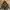 Off-White Streetwear Hoody Pria multicolor photo 1