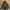 Off-White Streetwear Hoody Pria Multicolor