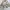 Jaket Militer US Army Original - 6-Color Desert Camouflage "