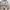 Jaket Militer US Army Original - 6-Color Desert Camouflage "