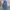 FUBU Streetwear Y2K Jeans Pria blue photo 3