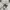 Ben Davis Luxury Casual Hoody Pria white photo 2