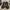Christian Louboutin Luxury Casual Sneakers Pria silver black photo 2