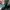 Chanel Luxury Handbag Wanita multicolor green photo 6
