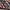 Dior Luxury Handbag Wanita multicolor photo 4
