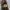Dior Luxury Handbag Wanita multicolor photo 6