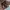 Dior Luxury Handbag Wanita multicolor photo 8