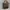 Dior Luxury Handbag Wanita multicolor photo 2