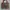 Dior Luxury Handbag Wanita multicolor photo 3