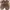 Vintage Luxury Ankle boots Pria brown photo 2