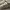 Adidas Streetwear Sportswear Sneakers Pria white tan photo 7