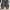 Christian Louboutin Luxury Casual Casual shoe Pria black photo 2