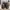 Christian Louboutin Luxury Casual Casual shoe Pria black photo 3