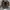 Dr martens 3989 wingtip brogue  photo 2