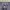 Freeman T Porter vintage y2k navy baggy cargo pants photo 3