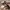 Miu Miu 01MV Women Black Glasses photo 3