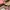Miu Miu 01MV Women Black Glasses photo 4