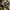 Deu5 Short Cargo Pants Cream Casual
