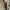 deu5 short cargo pants cream casual photo 5
