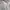 Vintage Streetwear Sweater Pria Gray