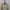 Uniqlo Streetwear Casual Puffer jacket Pria cream photo 4