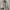Uniqlo Streetwear Casual Puffer jacket Pria cream photo 3