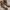 (LIKE NEW) TIMBERLAND Oakwell Moctoe photo 6