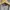 ZARA Minimalist Summer dress Wanita multicolor photo 3