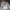 Kappa Casual Sweater Pria white photo 1
