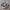 VANS Emo Casual Sneakers Wanita white black photo 1