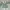 Casual Wanita white green photo 1