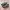 Adidas Indie Casual Sneakers Pria black gray photo 1