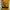 Pakaian adat Pakaian Nasional Going out dress Wanita gold black photo 1